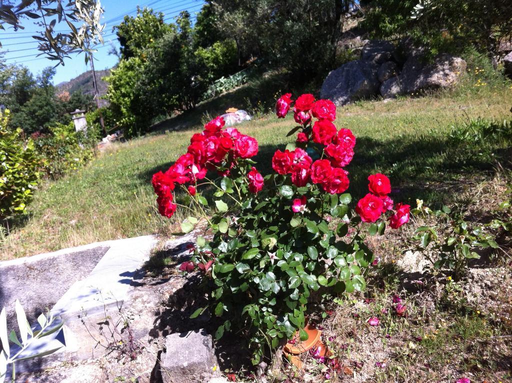 Al Vivenda Romantica Geres Εξωτερικό φωτογραφία